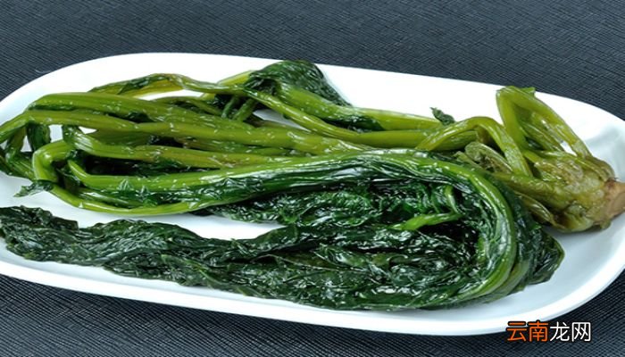 雪菜是什么菜雪菜有什么营养价值