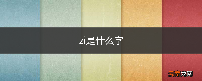 zi是什么字