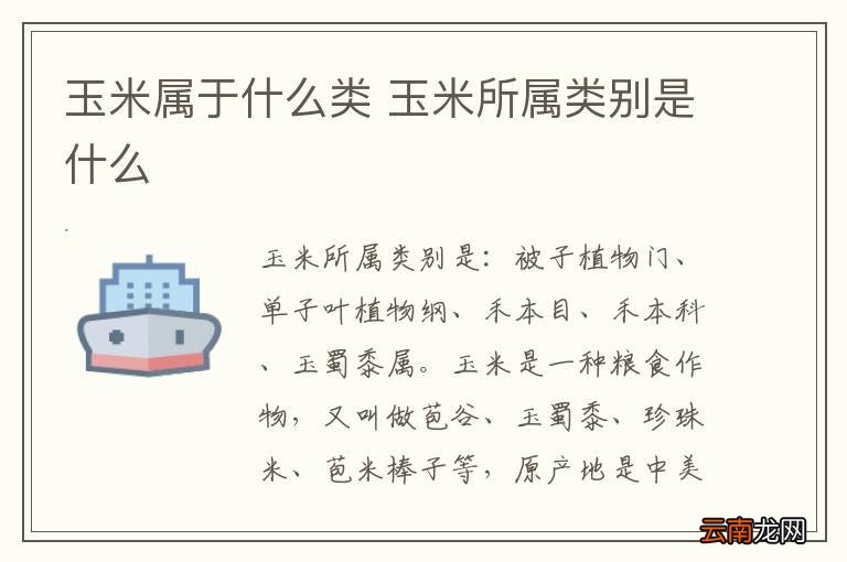 玉米属于什么类 玉米所属类别是什么