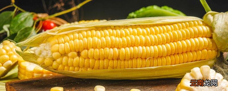 玉米属于什么类 玉米所属类别是什么