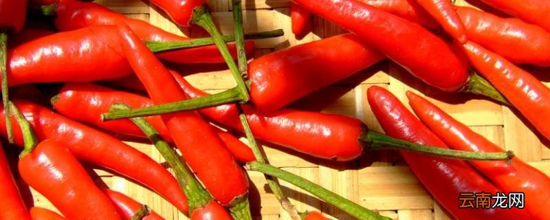 红辣椒怎么腌好吃又脆
