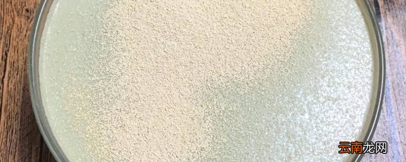 酵母粉打开多久会失效