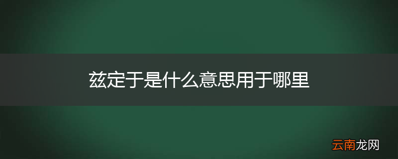 兹定于是什么意思用于哪里