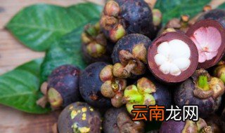 山竹冷藏还是冷冻 山竹怎么保存