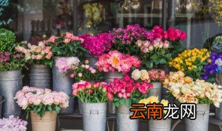 北京露天什么时候种植花 北京什么时候播种花种