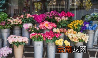 花怎么存放在保鲜柜里面 花怎么存放在保鲜柜里