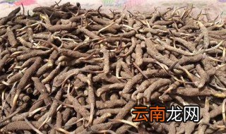 冬虫夏草什么时候种植 冬虫夏草怎样种植?什么时间下种?