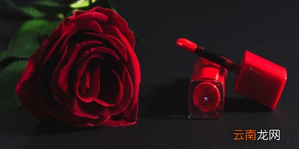 黑纱玫瑰的寓意 黑纱包红玫瑰什么意思