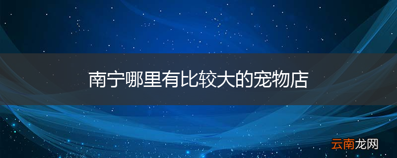 南宁哪里有比较大的宠物店