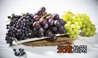 提子什么时候种植，提子什么时候移栽