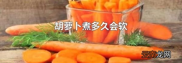 胡萝卜煮多久会软