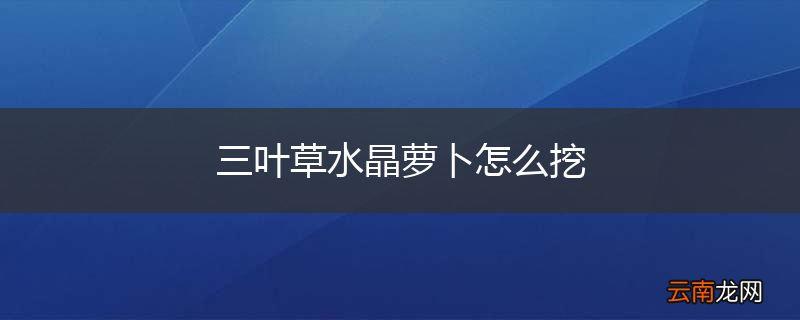 三叶草水晶萝卜怎么挖