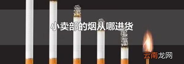 小卖部的烟从哪进货