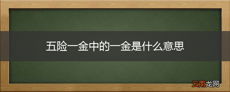 五险一金中的一金是什么意思