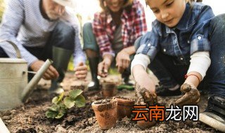 河北仙客来什么时候种植最好，仙客来种植基地在什么地方