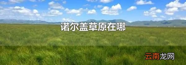 诺尔盖草原在哪