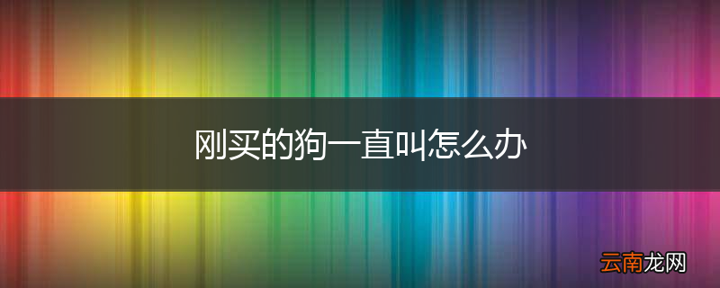 刚买的狗一直叫怎么办