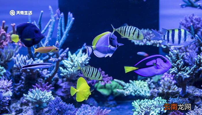 青岛海底隧道在海底多深 青岛海底隧道多深
