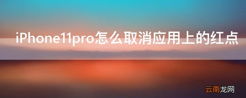 iPhone11 Pro Max怎么取消应用上的红点