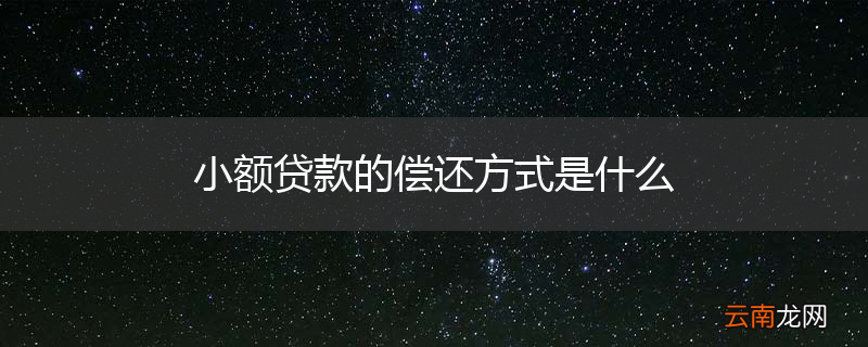 小额贷款的偿还方式是什么