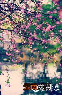 将一盏茶,喝到无味;将一本书,读到无字