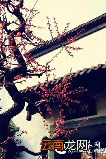 将一盏茶,喝到无味;将一本书,读到无字
