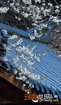 将一盏茶,喝到无味;将一本书,读到无字