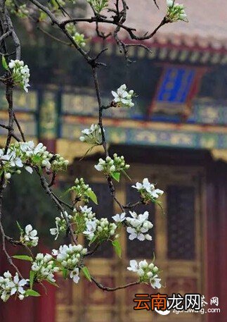 将一盏茶,喝到无味;将一本书,读到无字