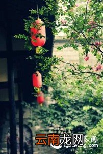 将一盏茶,喝到无味;将一本书,读到无字
