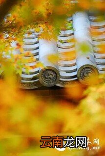 将一盏茶,喝到无味;将一本书,读到无字