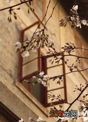 将一盏茶,喝到无味;将一本书,读到无字