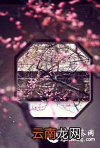将一盏茶,喝到无味;将一本书,读到无字