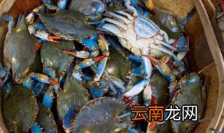 梭子蟹常温下能保存多久 梭子蟹常温下可以保存多久