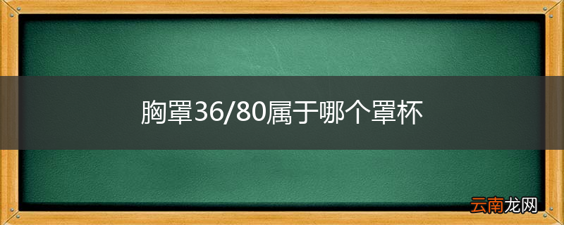 胸罩36/80属于哪个罩杯