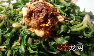 苦根菜怎么腌制最好吃，苦根菜的腌制