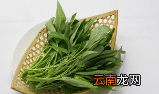 清莱什么时候种植好，青菜几月份种