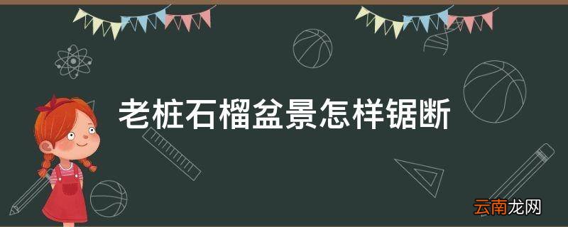 老桩石榴盆景怎样锯断