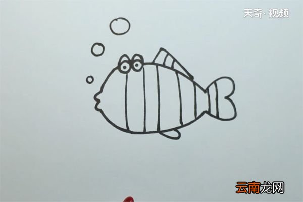 热带鱼的画法