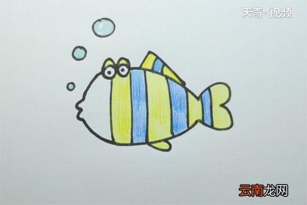 热带鱼的画法
