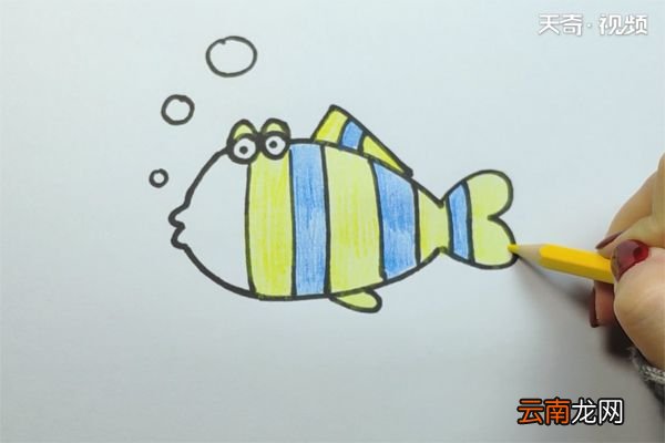 热带鱼的画法