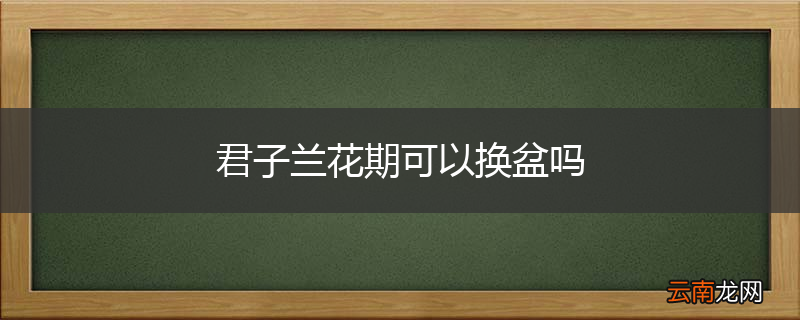 君子兰花期可以换盆吗