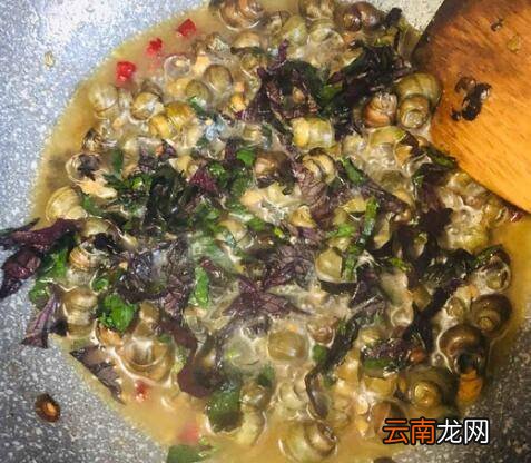 水螺怎么炒好吃