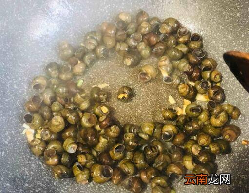 水螺怎么炒好吃