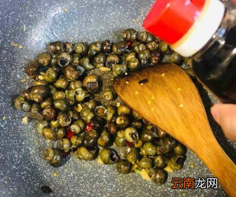 水螺怎么炒好吃