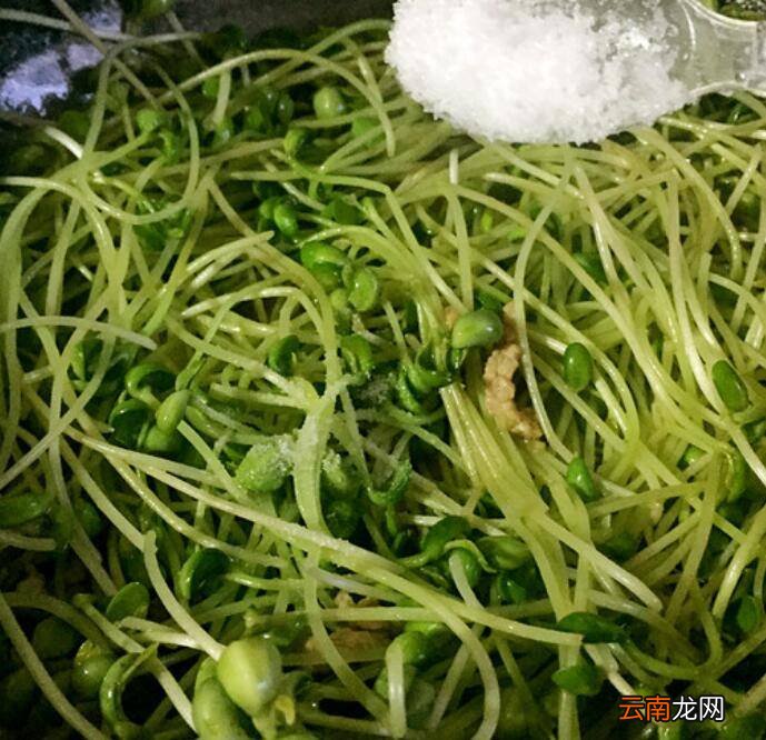 豌豆苗怎么炒