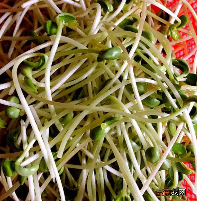 豌豆苗怎么炒