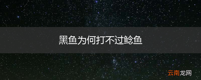 黑鱼为何打不过鲶鱼