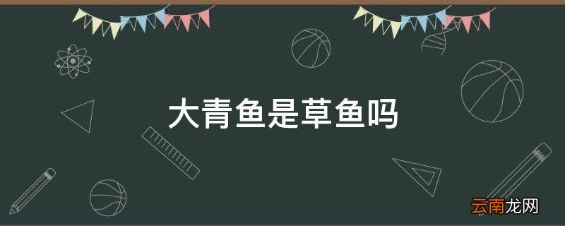 大青鱼是草鱼吗