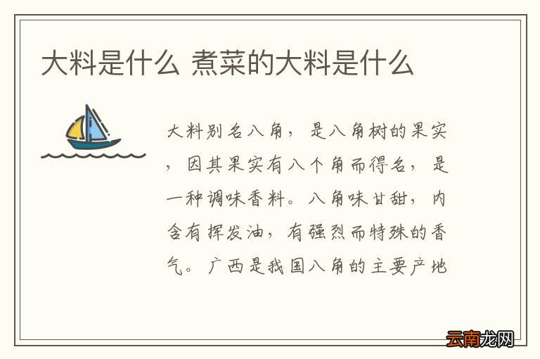 大料是什么 煮菜的大料是什么