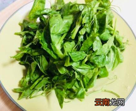 豌豆尖怎么炒
